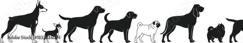 Collection of various dog breeds silhouettes in black and white, including Doberman, Chihuahua, Labrador, Pug, Hound, and Pomeranian, showcasing pet diversity and canine companionship