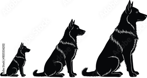 Dog Growth Vector Illustration: Silhouette Set Displaying German Shepherd Development from Small Puppy through Adolescence to Full Adult Size