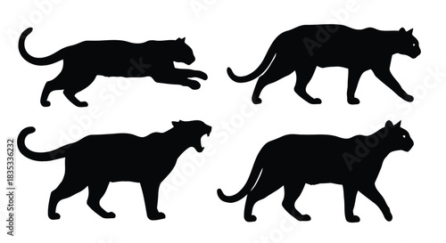 Four black panther silhouettes in different poses on a white background
