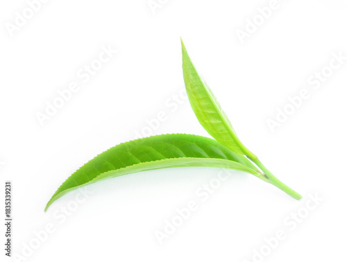 green tea leaf isolated on white background.