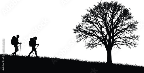 Outdoor Hiking and Adventure Scene with Silhouettes of Male and Female Backpackers Walking Uphill Towards a Large, Detailed, Bare Winter Tree and Grassy Slope