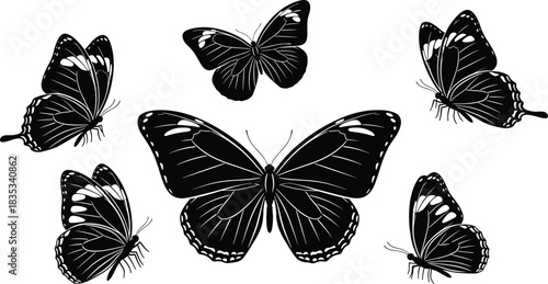 Set of Detailed Black and White Butterfly Silhouettes with Intricate Wing Patterns, Representing Nature, Beauty, Freedom, and Entomology Vector Graphic Collection