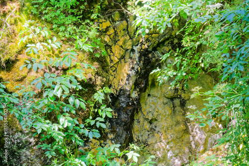 Exposed soil profile at the Straufhain Geotope in Thuringia Germany, showing geological layers and earth horizons along the trail to the castle ruins.