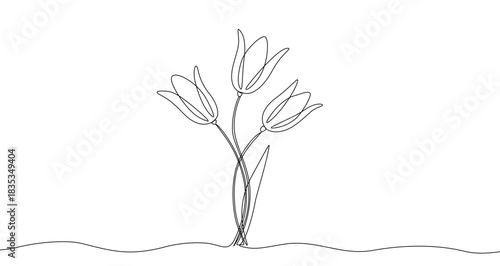 Three tulips on stems in continuous one line art style. Flower bouquet sketch with editable black stroke on white background. Vector illustration.