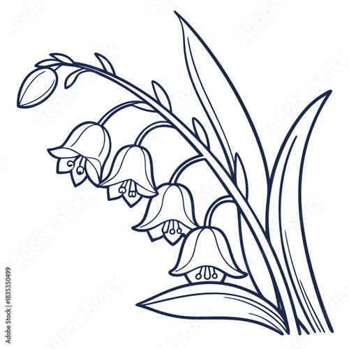 A delicate line art illustration of a sprig of lily of the valley flowers with bell shaped blooms and long green leaves on a white background