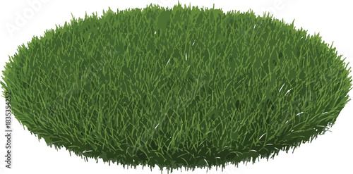 Green grass lawn patch isolated nature summer spring growth fresh natural outdoor