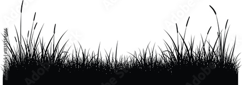 Grass silhouette meadow field nature plant background summer spring lawn