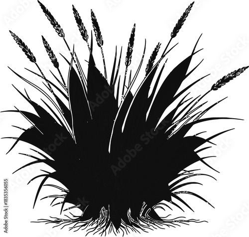 Grass plant nature field wheat grain agriculture meadow growth summer wild