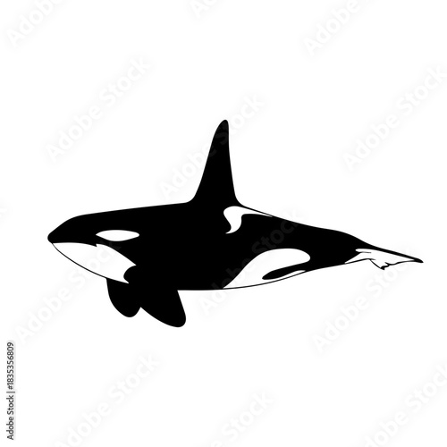 A simple black and white graphic illustration of an orca, also known as a killer whale, on a plain background.