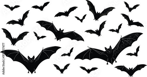 Flying bat silhouettes, Halloween vector design, spooky animal shapes, black winged creatures, nocturnal wildlife illustration, eerie motion graphic elements