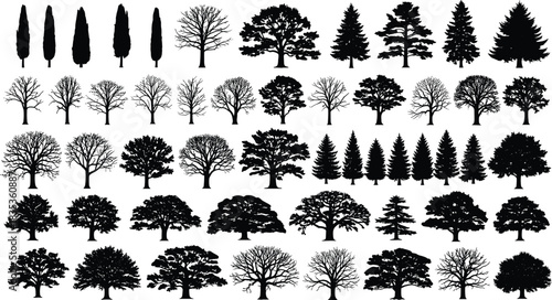 Tree silhouette collection, botanical vector set, forest shapes, seasonal tree icons, black nature design, landscape foliage, plant structure graphics