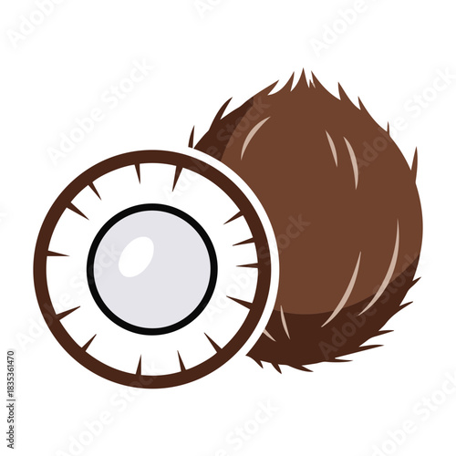 Vector illustration showing a whole coconut with brown husk and a halved coconut with white flesh inside it