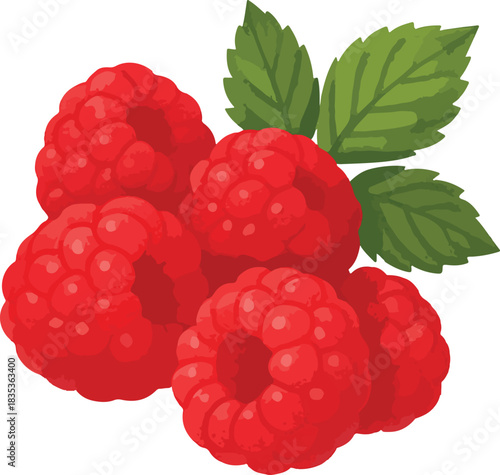 Cluster of Red Raspberries with Green Leaves fruit