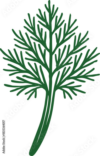 Green dill herb sprig illustration spice plant