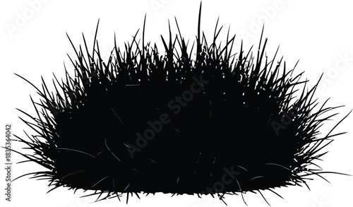 Grass tuft black silhouette isolated nature plant weed garden lawn field