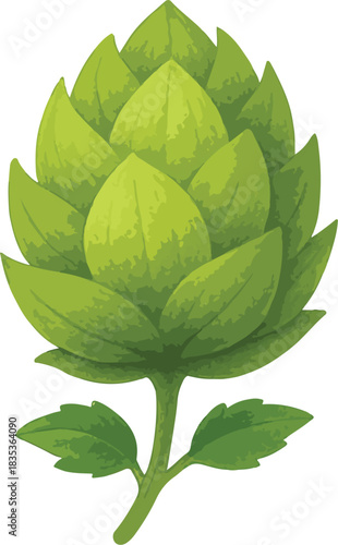 Green Hop Cone Illustration on White Background plant
