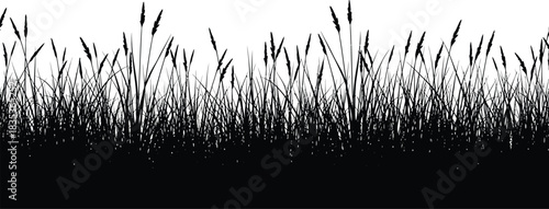 Grass field nature silhouette meadow landscape black white background wild