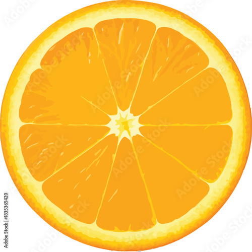 Slice of Orange with Visible Segments and Peel fruit