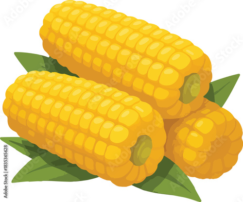 Three Ears of Corn with Green Leaves maize vegetable