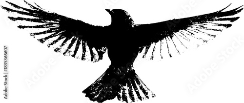Black and white bird wing silhouette illustration for urban art designs