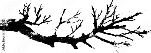 Monochrome fractal branch illustration for abstract art design
