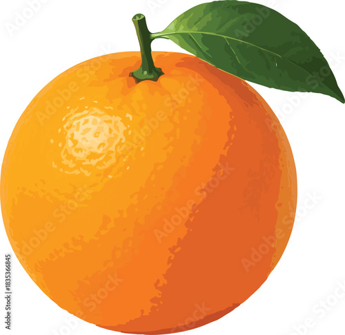 Whole Orange with Green Leaf and Stem fruit citrus