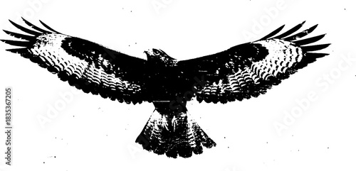 Dynamic black and white hawk silhouette stencil illustration for art and design projects