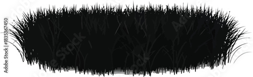 Black grass dark blades tuft isolated background nature plant texture field