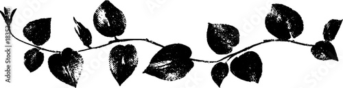 Black and white stencil illustration of a coiled vining plant for art and design