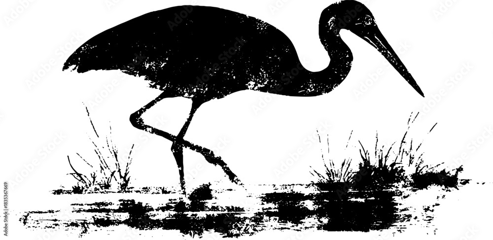 Fototapeta premium Black and white stencil illustration of crane-like waterbird in grunge style for design