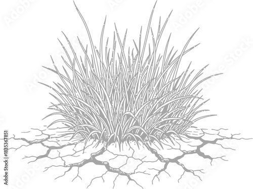 Grass arid cracked earth drought dry land nature soil texture wilderness plant
