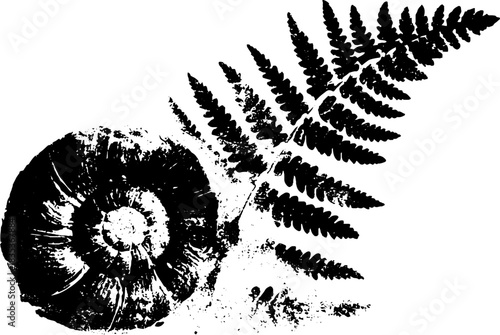 Black and white stencil illustration of a curled fern tip for botanical design