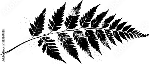 Black and white stencil art of a curled fern tip for print or poster design