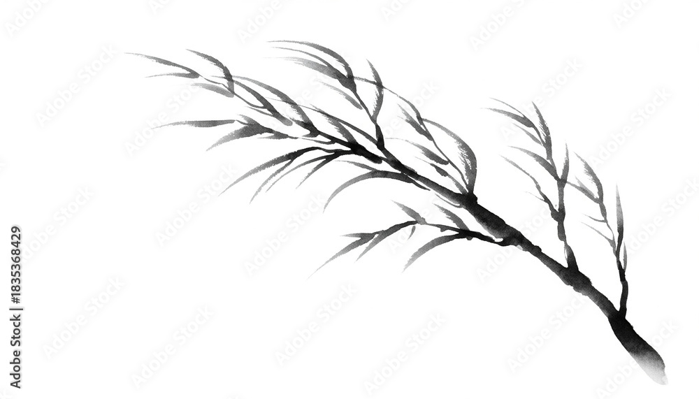 Naklejka premium Elegant Ink Wash Painting of a Willow Branch on White Background.