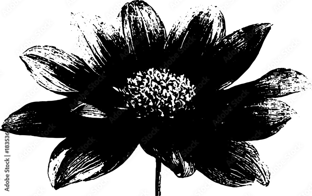 Obraz premium Geometric folk style black and white stencil flower illustration for artistic designs
