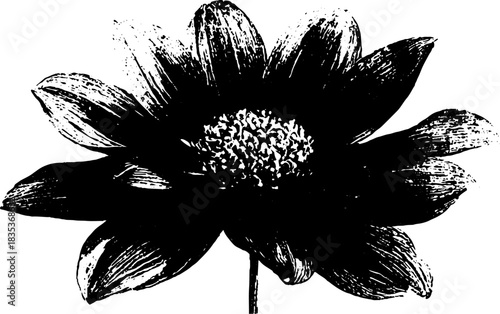 Geometric folk style black and white stencil flower illustration for artistic designs
