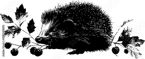 Black and white stencil of a hedgehog with berries - nature and wildlife art design