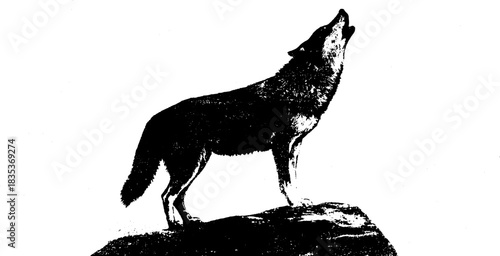 Lone wolf silhouette in black and white stencil art for urban design
