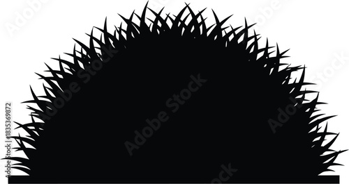 Grass lawn nature plant garden growth field spring summer green flora turf