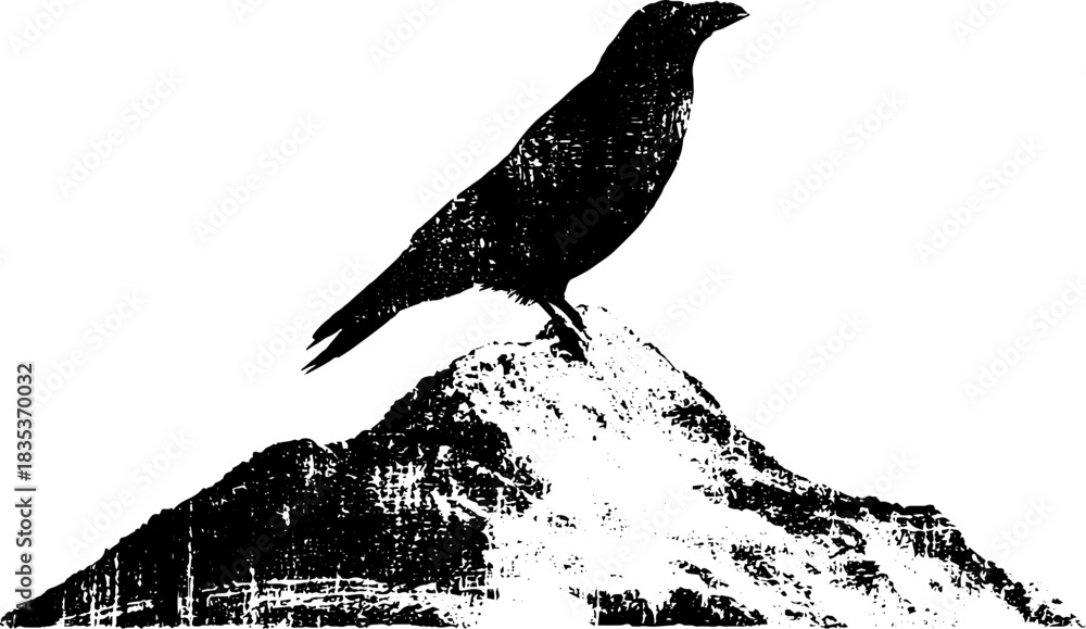 Naklejka premium Black and white stencil illustration of a perched mountain raven - urban grunge art concept