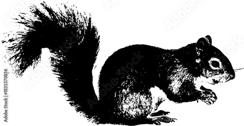 Black and white stencil art of a perched squirrel - nature illustration for wall decor
