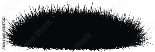 Black grass silhouette isolated nature plant field dark shadow background lawn