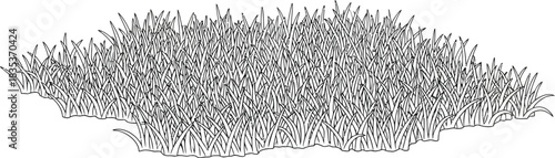 Grass lawn nature green field meadow plant summer spring growth garden land