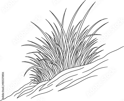 Grass blades field meadow pasture lawn nature plant growth flora greenery ecology