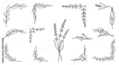 Hand-drawn collection of elegant botanical line art elements with lavender flowers and leafy branches, ideal for decorative corners and frames.