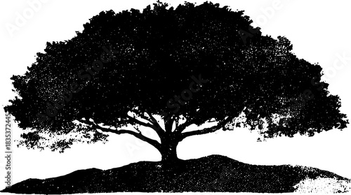 Stylized black and white tree stencil illustration for nature designs