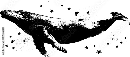 Black and white stencil illustration of whale silhouette for marine art design