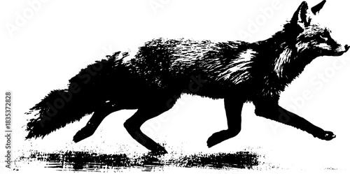Black and white wild fox stencil silhouette illustration