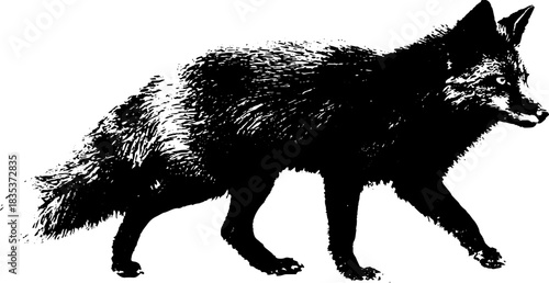 Black and white wild fox silhouette stencil art for creative design projects