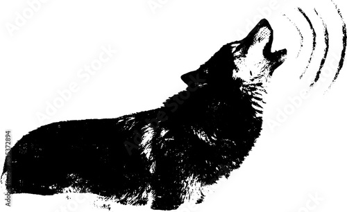 Black and white wolf howling silhouette stencil illustration for urban art design